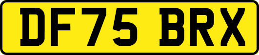 DF75BRX