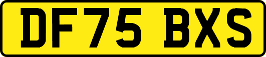DF75BXS