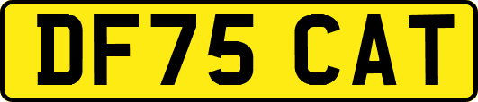 DF75CAT