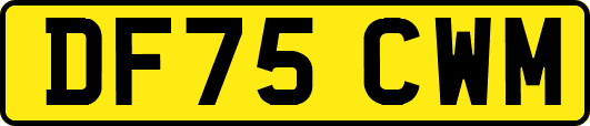 DF75CWM