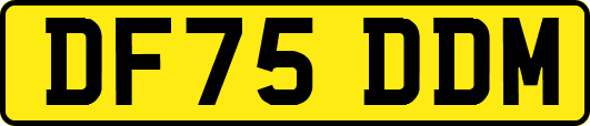 DF75DDM