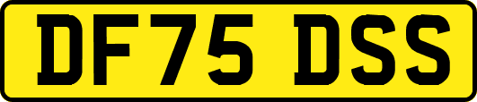 DF75DSS
