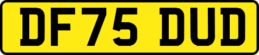 DF75DUD