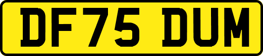 DF75DUM