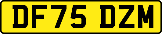 DF75DZM