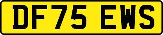 DF75EWS
