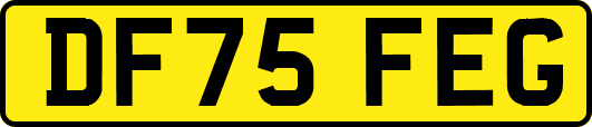 DF75FEG