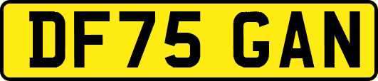 DF75GAN