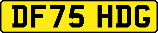 DF75HDG