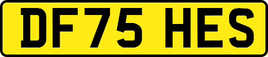 DF75HES