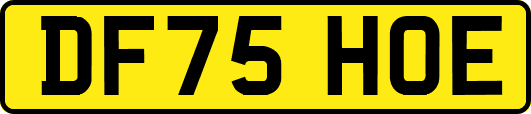 DF75HOE