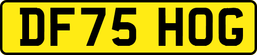 DF75HOG