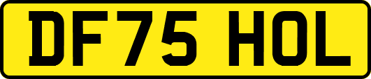 DF75HOL