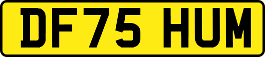 DF75HUM