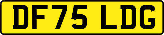 DF75LDG