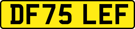 DF75LEF