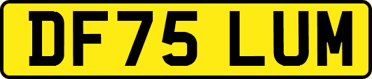DF75LUM