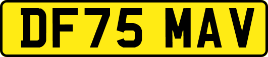 DF75MAV