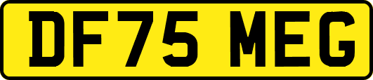 DF75MEG