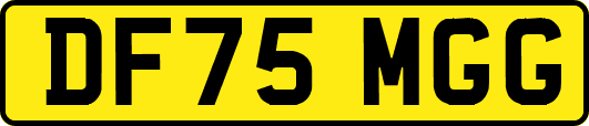 DF75MGG