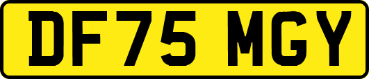 DF75MGY