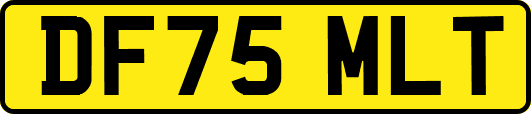 DF75MLT