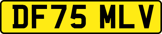 DF75MLV