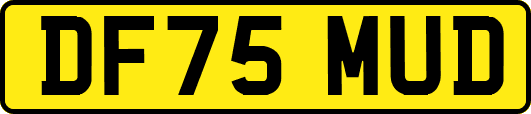 DF75MUD