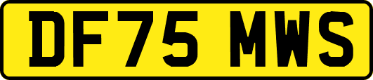 DF75MWS