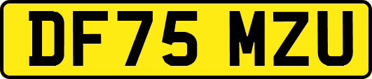 DF75MZU