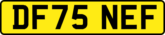 DF75NEF