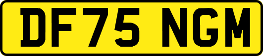 DF75NGM