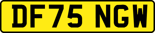 DF75NGW