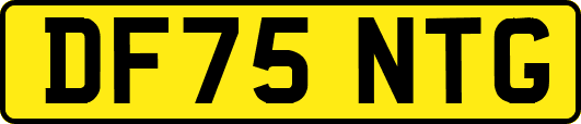 DF75NTG