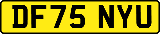 DF75NYU