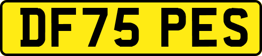 DF75PES