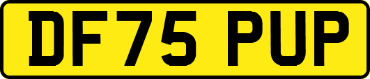 DF75PUP