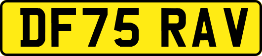 DF75RAV