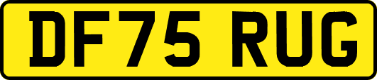 DF75RUG