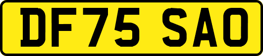 DF75SAO