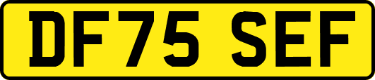 DF75SEF