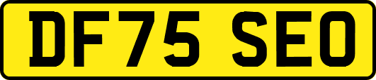 DF75SEO