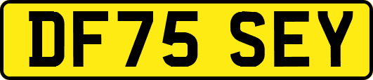 DF75SEY