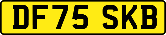DF75SKB