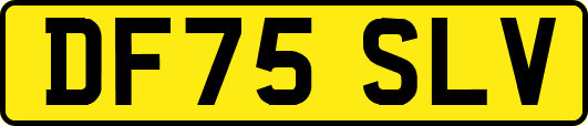 DF75SLV
