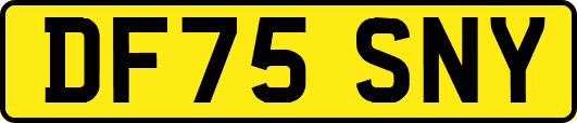 DF75SNY