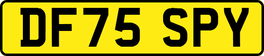 DF75SPY