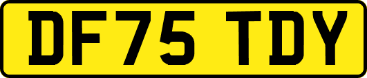 DF75TDY