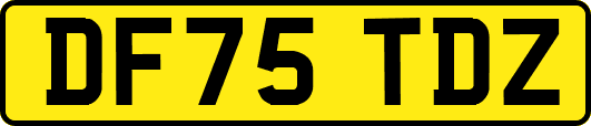 DF75TDZ