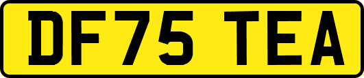 DF75TEA